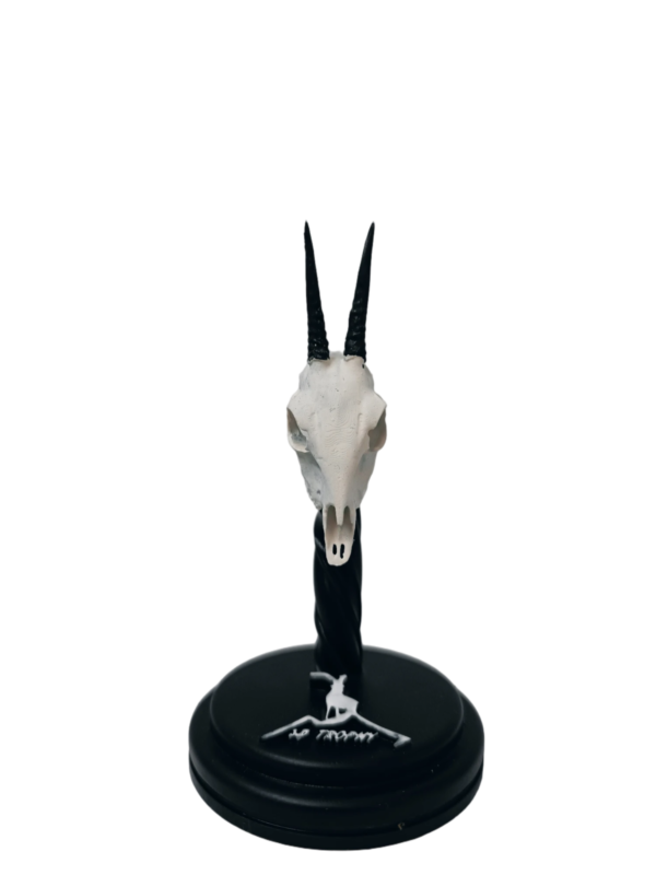cráneo de duiker en miniatura