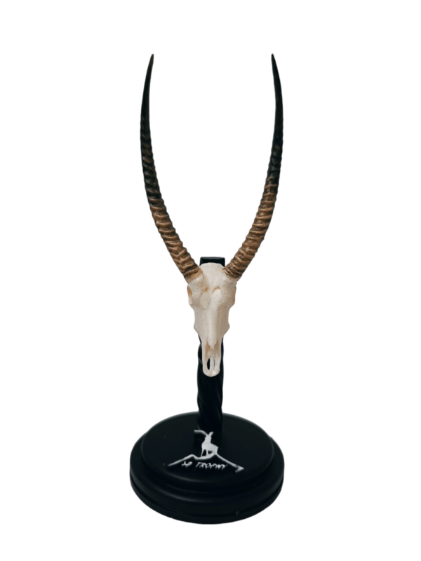 cráneo de waterbuck en miniatura