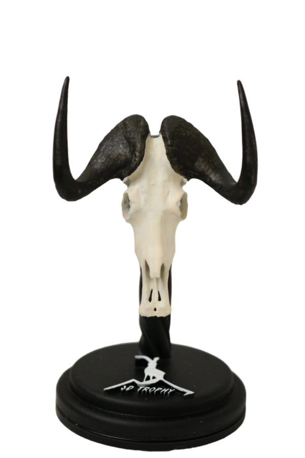 cráneo de ñu negro en miniatura