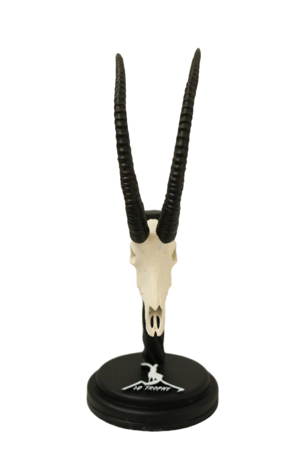 cráneo de sable en miniatura