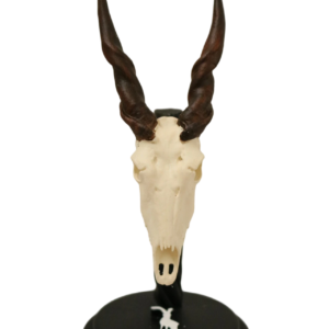 cráneo de eland en miniatura
