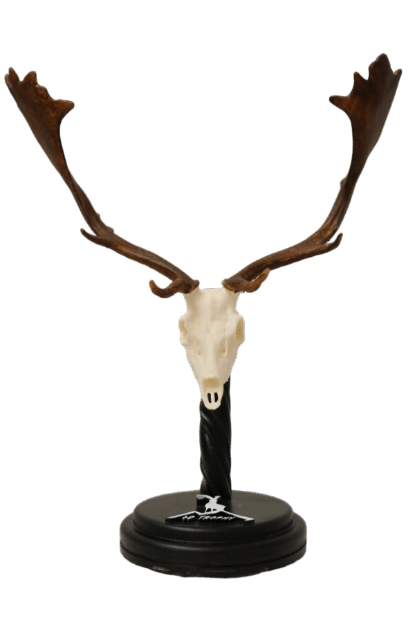 Cráneo de gamo