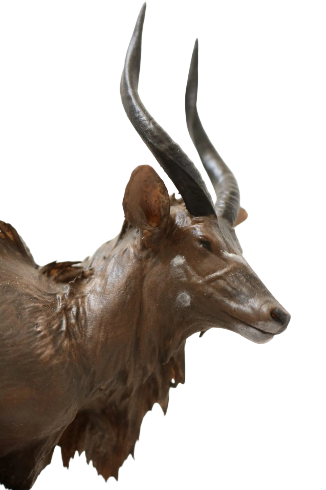 1747869340835