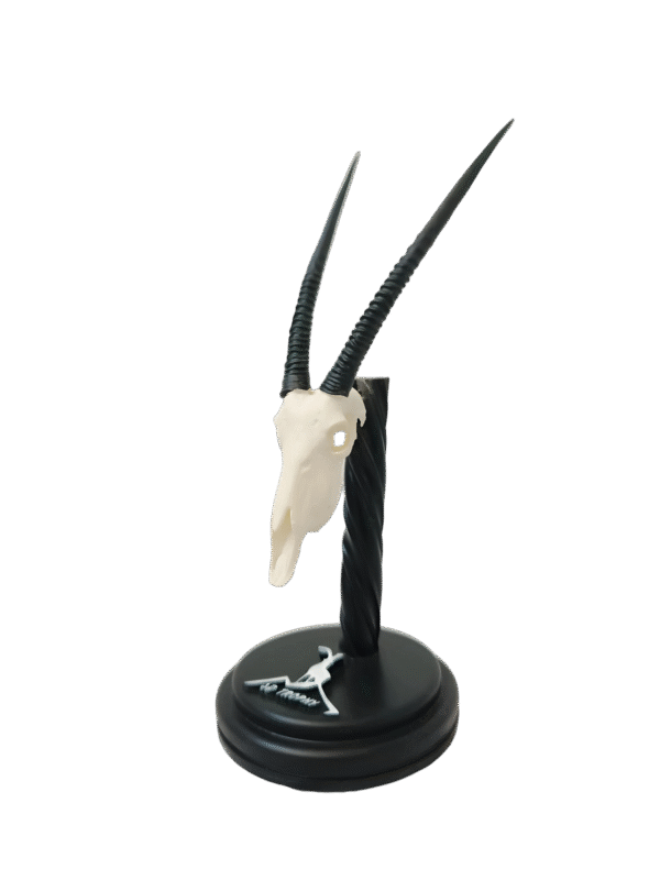 Cráneo de oryx - Imagen 2