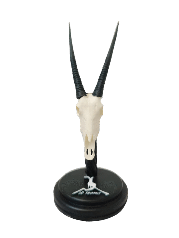 cráneo de oryx en miniatura